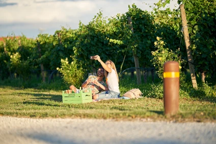 Picnic in a historical Lugana vineyard at Sirmione 0